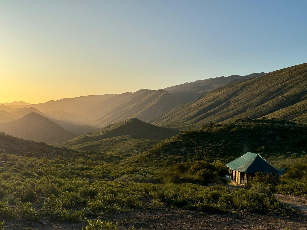 Aloeron Glamping View Aloeron off-grid glamping tent at Patatsfontein Stay set among red aloes with sunset views over the Karoo near Montagu, Western Cape